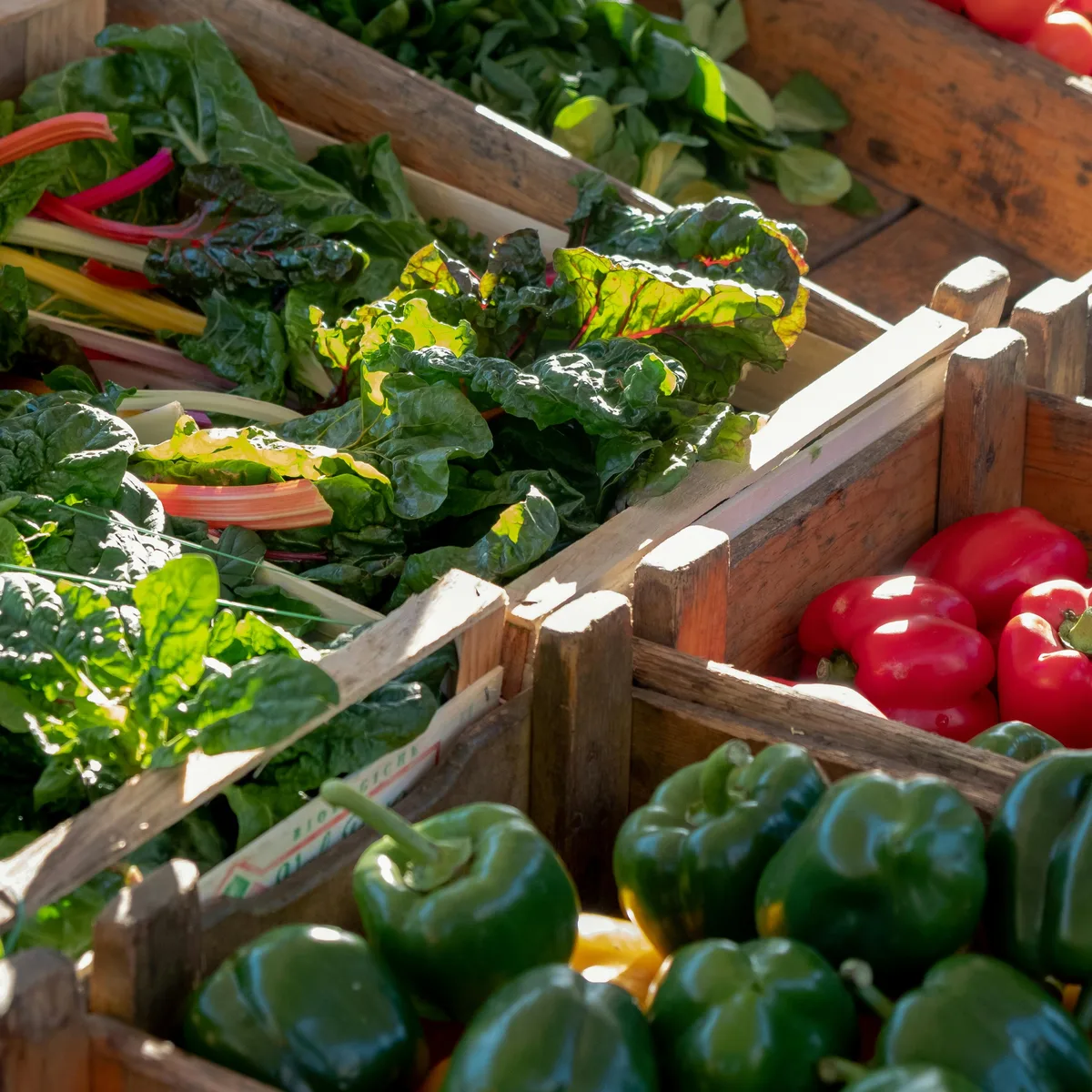 Colorful display of heirloom tomatoes and summer squash from local Blue Ridge farms