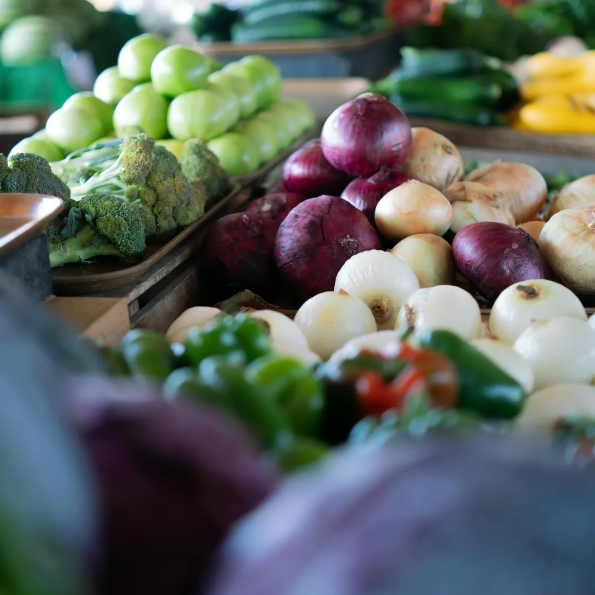 Local cheese maker presenting artisan cheese samples at Verdant Market tasting event